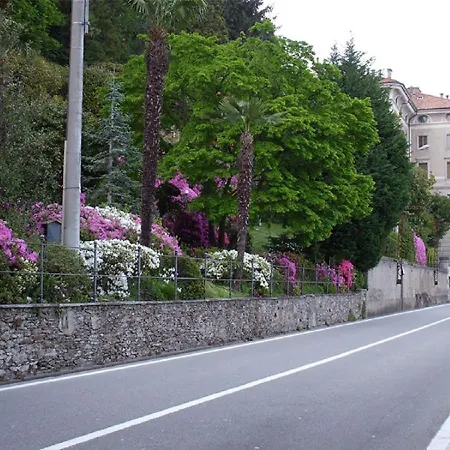 Gardenia אוג'ביו